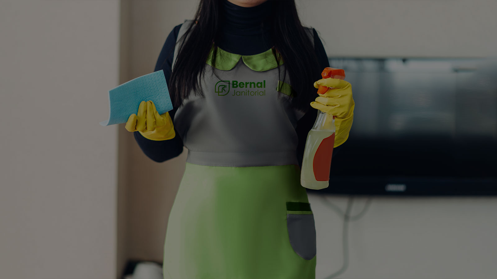 Cleaning services in denver metro area